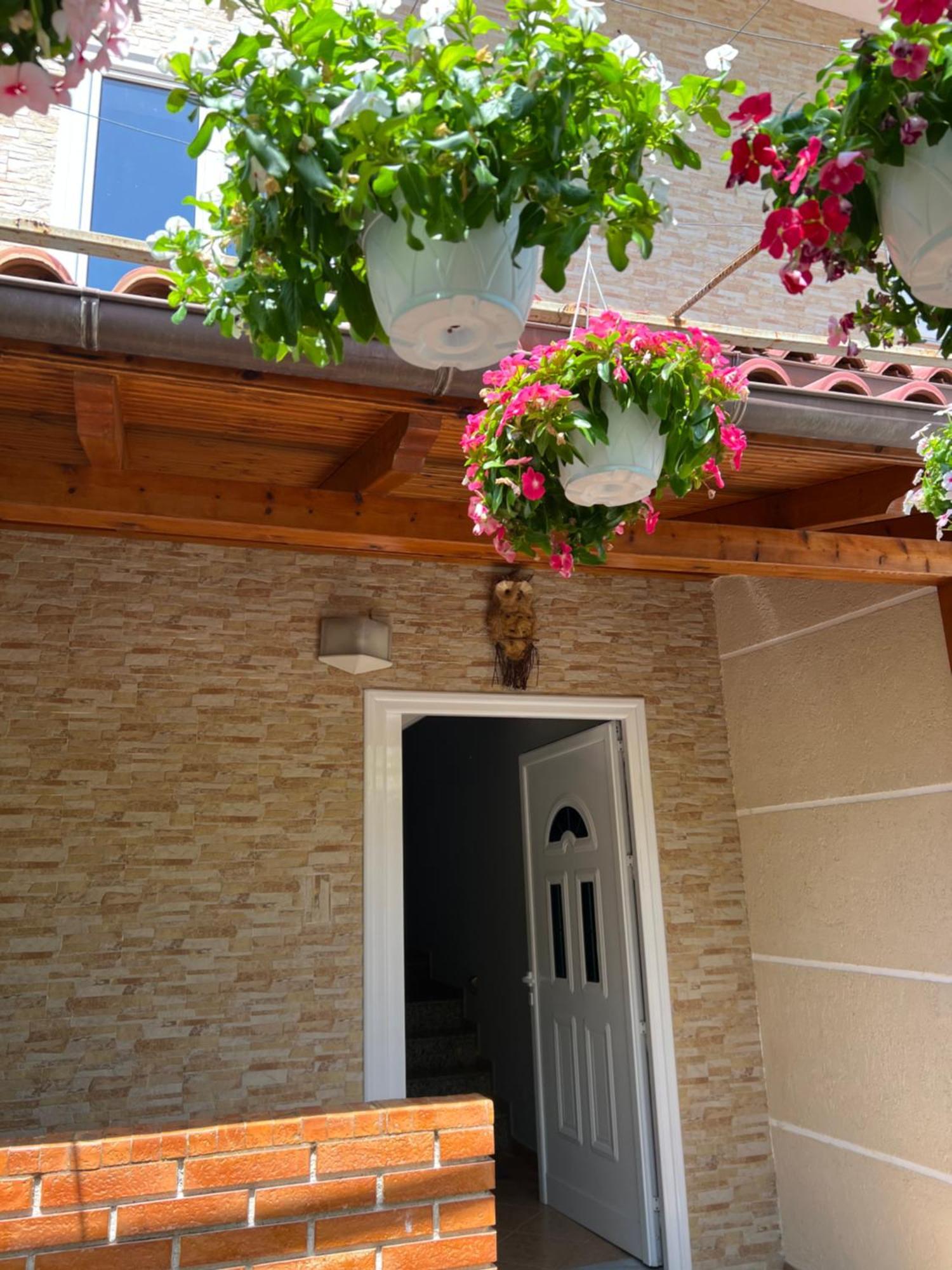 Trip-Stop Apartments Avlonya Dış mekan fotoğraf